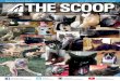 The Scoop newsletter - Spring 2016