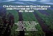 Os Corredores Ecológicos das Florestas Tropicais do Brasil