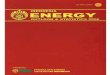 2006 Indonesia Energy Outlook & statistic