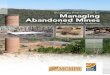 Strategic Framework for Managing Abandoned Mines