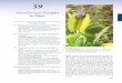 Chapter 39: Nutrition and Transport in Plants