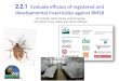 2.2.1 Evaluate efficacy of registered and developmental insecticides 