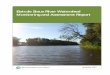 Bois de Sioux River Watershed Monitoring and Assessment Report