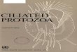 Ciliated protozoa: an illustrated guide to the species used as 