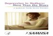 Depression in Mothers: More Than the Blues, A Toolkit for Family 