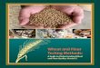 Wheat and Flour Testing Methods: A Guide to Understanding Wheat 