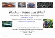 Biochar What and Why? Tom Miles, NW Biochar Working Group