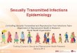 Sexually transmitted infections epidemiology