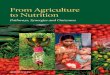 From Agriculture to Nutrition: Pathways, Synergies and Outcomes