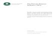 The Private Finance Initiative (PFI)