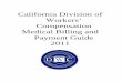 Compensation Medical Billing And Payment Guide 2011