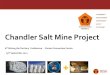 Chandler Salt Mine Project