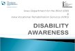 IDB IVRS Disability Awareness.ppt