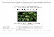 Sample Costs to Establish a Walnut Orchard and Produce Walnuts 