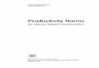 Productivity norms for labour-based construction  pdf