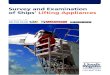Survey and Examination of Ships' Lifting Appliances.pdf