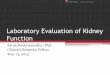 Laboratory Evaluation of Kidney Function