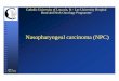 Nasopharyngeal carcinoma (NPC)