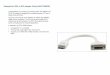 DisplayPort (DP) to DVI Adapter Cable (ADC-DPM/DF)