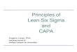 Principles of Lean Six Sigma - Uprm