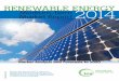 Medium-Term Renewable Energy Market Report