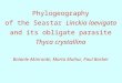 PowerPoint Presentation - Phylogeography of the Seastar Linckia 