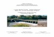 Lower Butte Creek - Sutter Bypass Weir No. 2 Fish Passage Project 