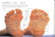 mapas del pie
