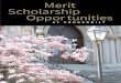 Scholarship Opportunities Merit