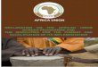 Declaration on the African Union Border Programme and the 