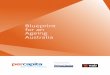 Blueprint for an Ageing Australia