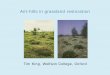 Anthills in grassland restoration - Tim King
