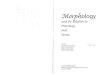 Page 1 JMo/p/tology and Its Kelation to .-- Phonology and Syntax 