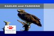 EAGLES and FARMERS
