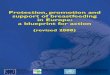 Protection, promotion and support of breastfeeding in Europe: a 