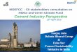Cement Industry Perspective