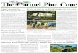 Carmel Pine Cone, March 7, 2014 (main news)