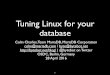 Tuning Linux for your database OSDC Berlin 2016