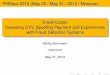 Credit Cards: Guessing CVV, Spoofing Payment and Experiences 