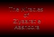 The Miracles of Ziyarat e Ashura - Albouraq.org