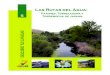 rutas del agua: Patones, Torrelaguna y Torremocha de Jarama