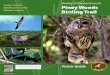 Piney Woods Birding Trail - Alabama Birding Trails