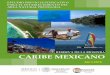 Reserva de la Biosfera Caribe Mexicano
