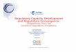 Regulatory Capacity Development and Regulatory Convergence: