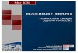 Feasibility Report (PDF)