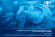 règlement du championnat d'Europe de football de l'UEFA