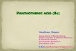 PANTOTHENIC ACID (B5)