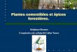 2- Stéphane Demers PFNL : plantes comestibles et épices forestières