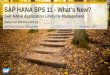 What's New in SAP HANA SPS 11 Application Lifecycle Management