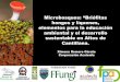 Ximena Romero: Microbosques: "Briófitas, hongos y líquenes"